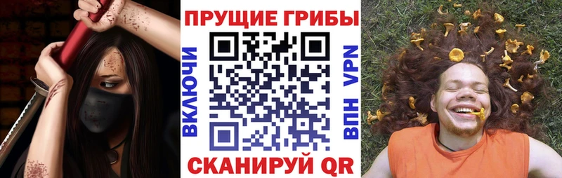 Галлюциногенные грибы ЛСД  ОМГ ОМГ ТОР  Петропавловск-Камчатский 